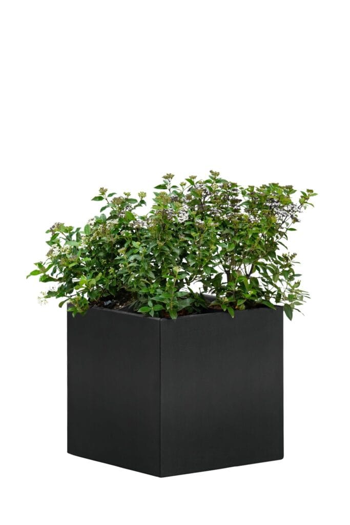 Bloembak Mohawk, zwart gepoedercoat staal 50 x 50 x 50 cm