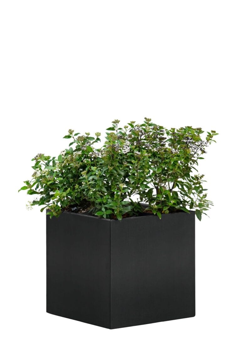 Bloembak Mohawk, zwart gepoedercoat staal 50 x 50 x 50 cm